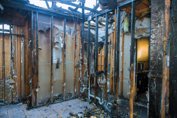 Professional Fire Damage Removal technician working in Beltsville, MD