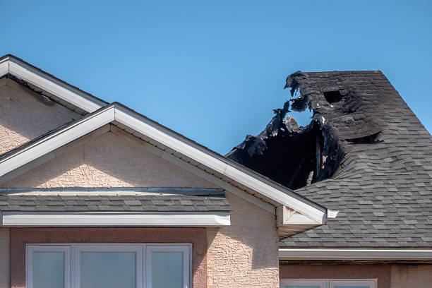 Top rated local Fire Damage Removal specialists in Beltsville, MD